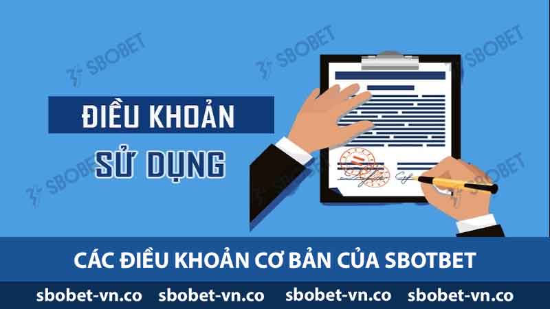 Các điều khoản cơ bản của Sbobet