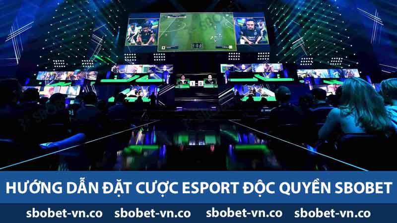 Hướng dẫn đặt cược Esport độc quyền Sbobet